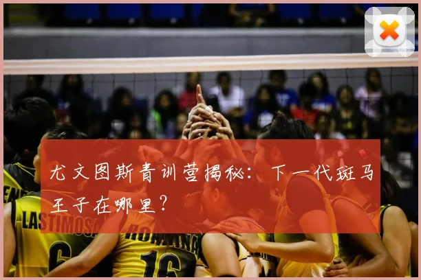 尤文图斯青训营揭秘：下一代斑马王子在哪里？