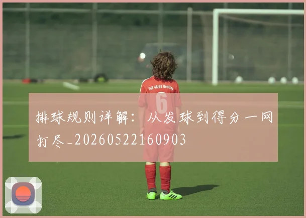 排球规则详解：从发球到得分一网打尽_20260522160903