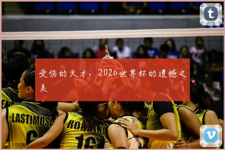 受伤的天才,2026世界杯的遗憾之美